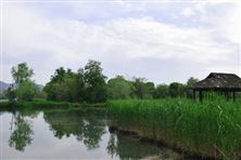 数智赋能焕新篇 网印数码启新程 ——第48届ASGA 亚太网印数智化印刷展新闻发布会隆重召开