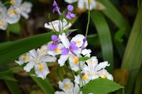 传统技艺对话当代生活，东方美学引发深层共鸣——“润物无声”非遗技艺美学展圆满闭幕