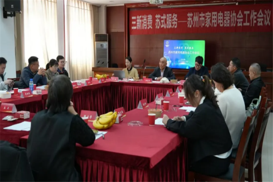 “三新消费”激活市场新动能  “苏式服务”擘画产业新蓝图